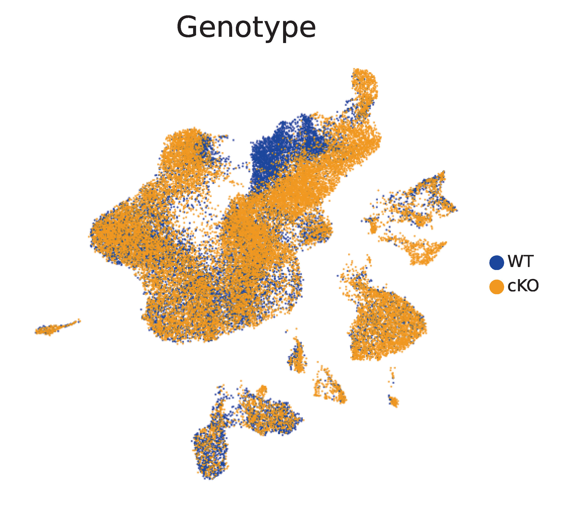 Genotype