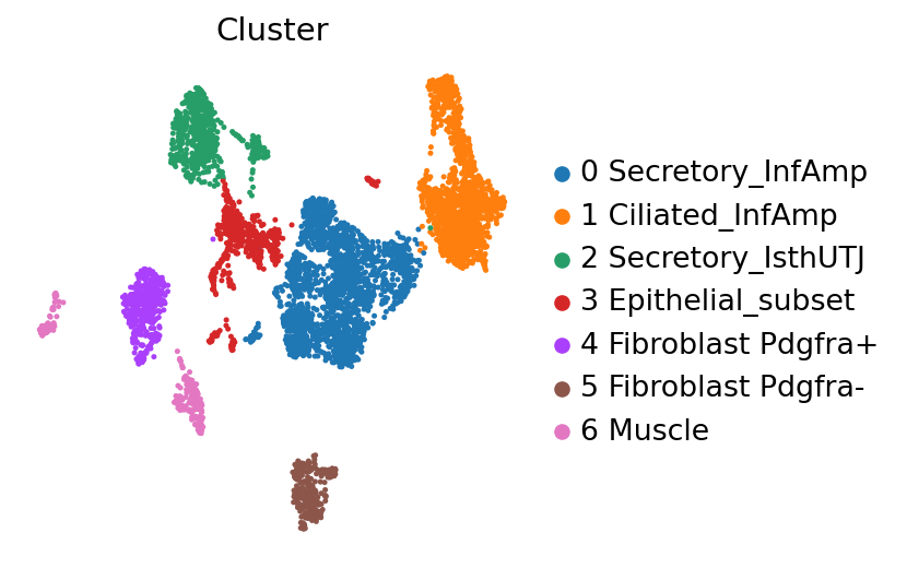 Cluster