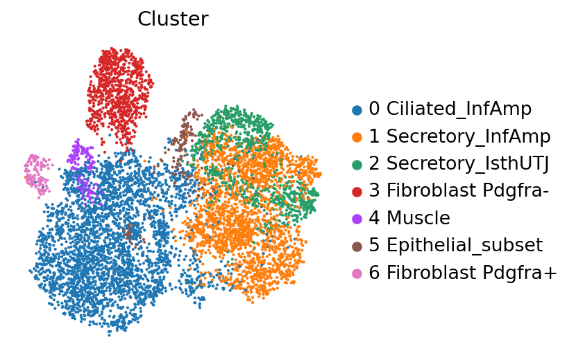 Cluster