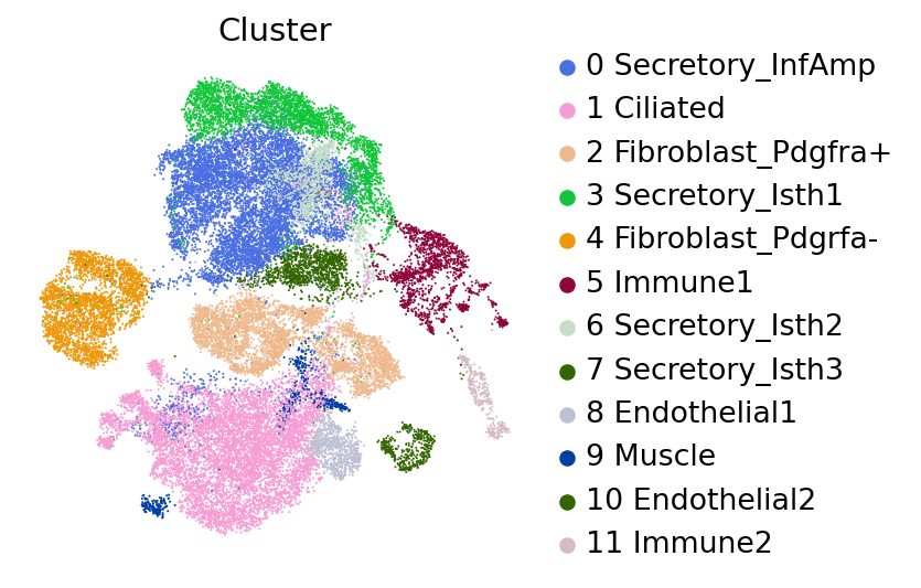 Cluster