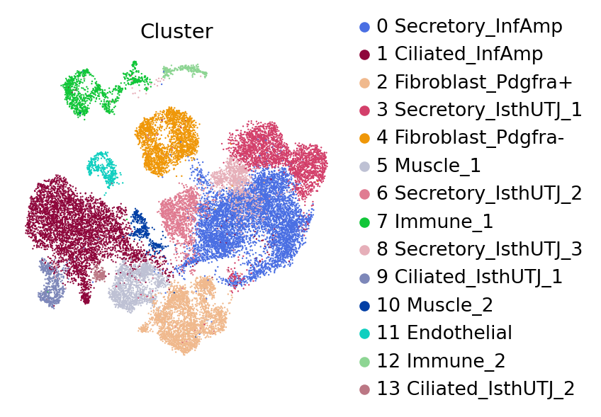 Cluster