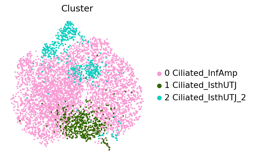 Cluster